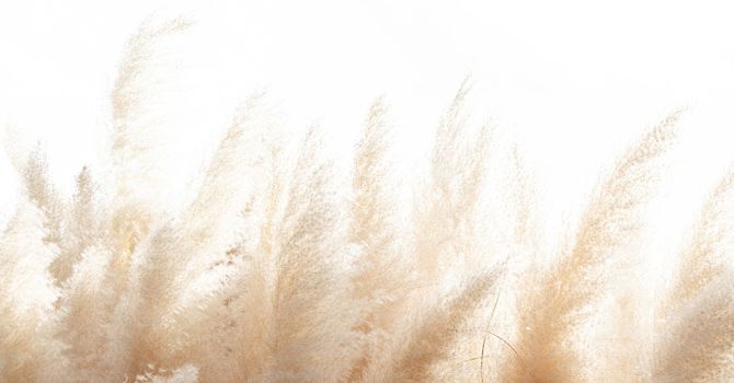 Acupuncture - Existing Patients